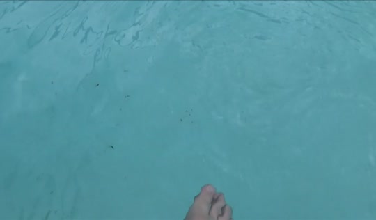 Кобыла выпила вина в бассейне и забралась в трусы к другу